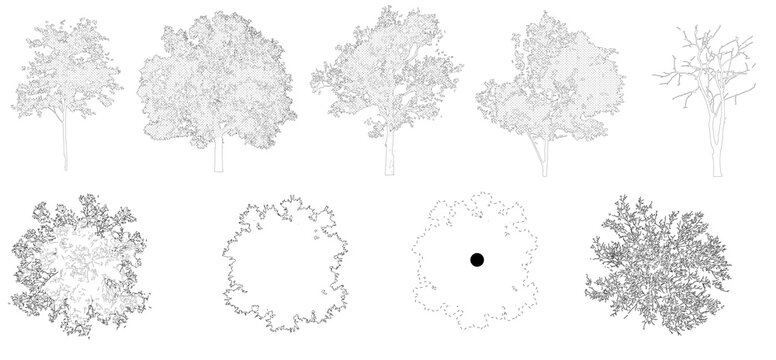 Pack of trees in elevation view for use in architectural drawings isolated on transparent background