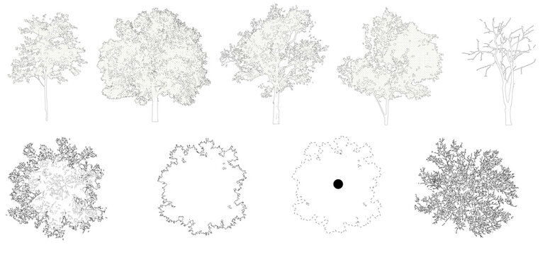 Pack of trees in elevation view for use in architectural drawings isolated on transparent background
