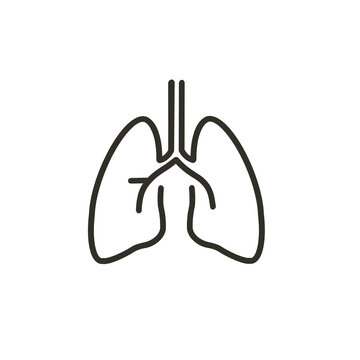 폐 건강 (Lung Health)