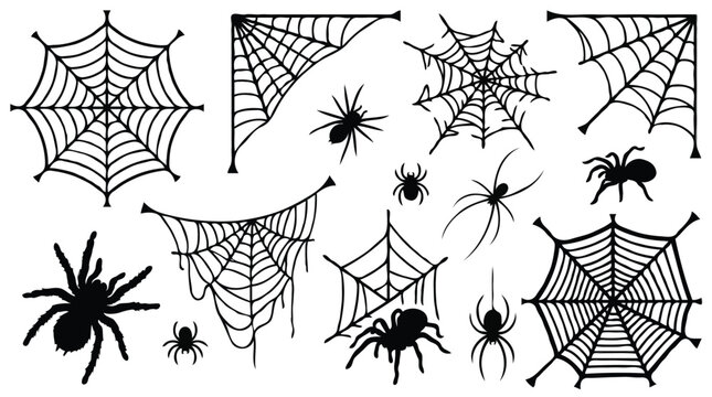  Halloween spider webs and spiders silhouette elements collection