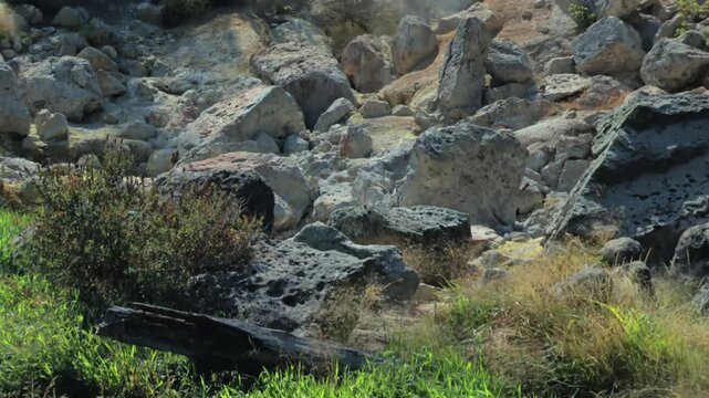 Water flowing next to a hot fumarole venting steam in a geothermal area of northern California