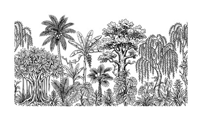 Vintage Tropical Botanical Seamless Border with Palm Trees Banana Plants Banyan Oak and Willow Vector © Shaon
