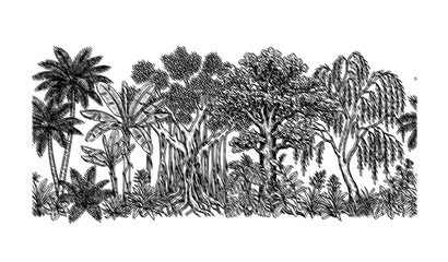 Seamless Vintage Botanical Jungle Border with Palm Banana Banyan Oak and Willow Trees Vector © Shaon