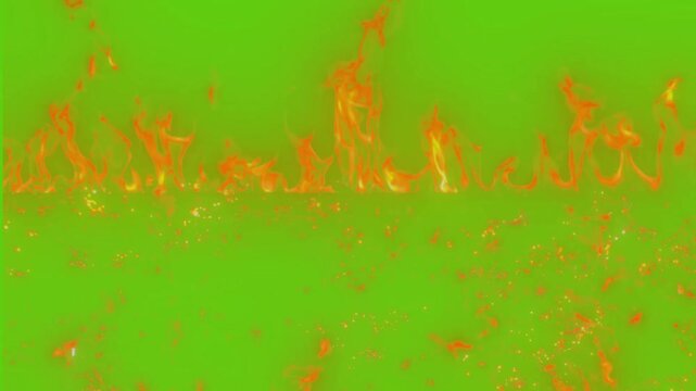 green grass background