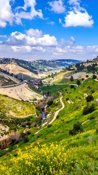 Scenic rolling green hills landscape view.
