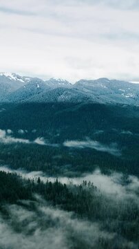 Amazing scenic view of evergreen forests in the Mount Rainer National park, Washington State, the USA. Sunlit mountains at backdrop. Top view. Vertical video