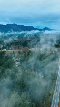 Scenery of the Mount Rainer National park, Washington State, the USA. Beautiful panorama covered with white fog. Top view. Vertical video