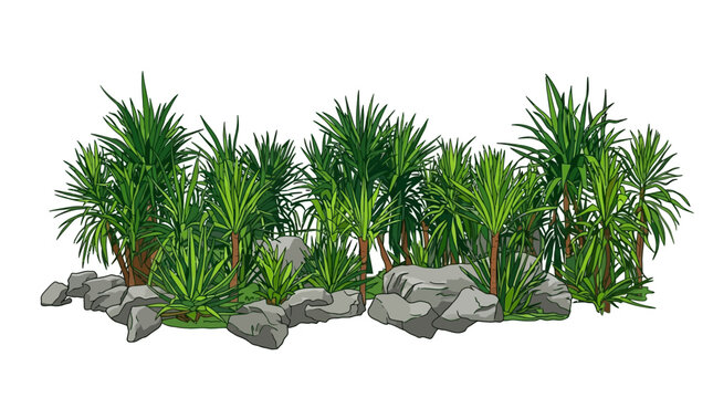 Agrupamento de plantas tropicais verdes e rochas cinzentas, ideal para elementos de design de paisagem isolados em fundo branco.