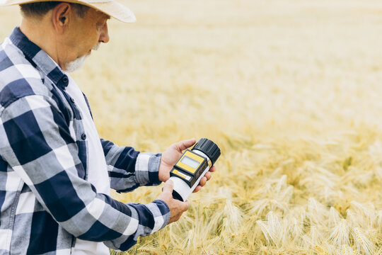 Agronomist checking grain moisture content during harvest season. Using technology for quality control and sustainable farming
