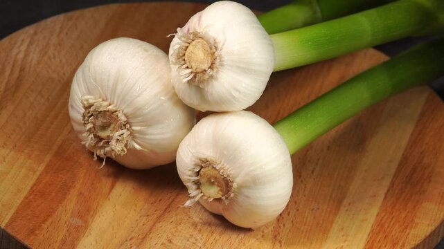 Clean organic garlic bulb with stalks and water droplets turning on a rustic wooden background.