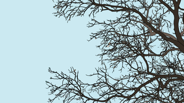 Illustration vectorielle de branches d'arbres nues se d&eacute;coupant sur un ciel bleu clair, &eacute;voquant l'hiver ou l'automne avec un espace de copie serein.