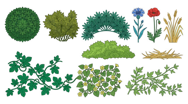 Variedade de plantas, arbustos, flores e palha ilustrados para design de paisagem e planos arquitet&ocirc;nicos, com elementos de jardim e natureza.