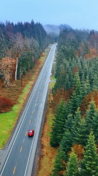 Following red vehicle driving by the asphalt road in the pine tree forest. Drone footage above the woods in Mount Rainer National park, Washington State, the USA. Vertical video