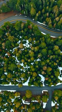 Two asphalt roads cross in the pine-tree forest in winter. Aerial perspective on the Mount Rainer National park, Washington State, the USA. Vertical video