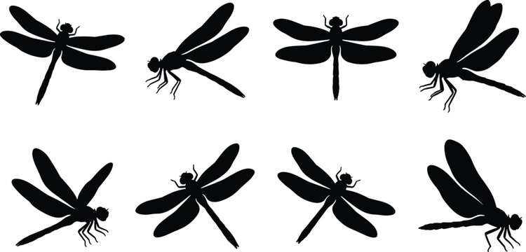 Black dragonfly silhouette set isolated on white background for graphic design and tattoos