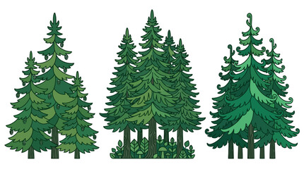 Obraz premium Vektorillustration von drei verschiedenen Gruppen grüner Nadelbäume und Fichten im Cartoon-Stil, perfekt für Umweltdesign und Naturprojekte.