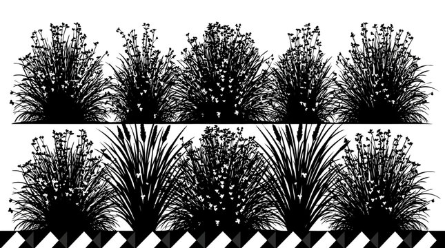 Minimalistische Vektorgrafik von stilisierten Pflanzensilhouetten in zwei Reihen mit einem geometrischen Schwarz-Wei&szlig;-Muster am unteren Rand, ideal f&uuml;r modernes Design und Umweltkonzepte.