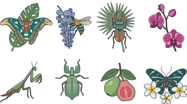 Colecci&oacute;n de ilustraciones vectoriales de estilo bot&aacute;nico y entomol&oacute;gico con insectos ex&oacute;ticos, flores tropicales, mariposas coloridas y frutas frescas sobre un fondo blanco limpio
