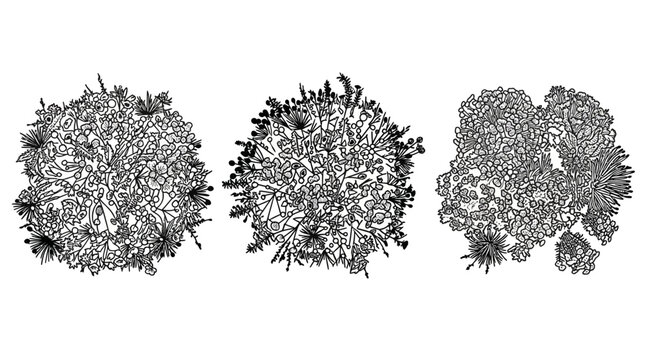 Conjunto de tres ilustraciones vectoriales de &aacute;rboles y arbustos vistos desde arriba, estilo dibujo lineal en blanco y negro para dise&ntilde;o arquitect&oacute;nico y paisajismo.