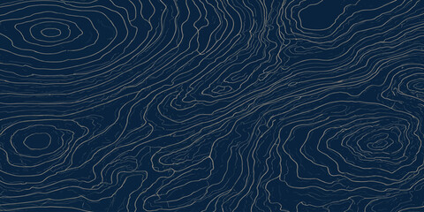 Topographic map lines vector graphic background with topographic geography elevation cartography background abstract topography navigation geometry landscape technology visualization © MOHAMAD