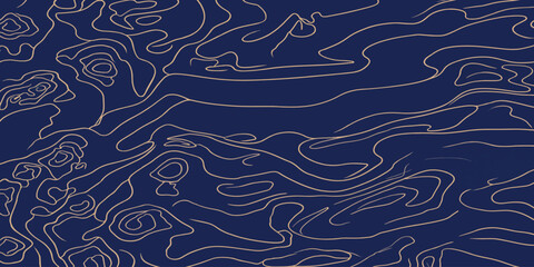 Elegant gold and blue topographic contour lines abstract background with topographic abstract background navigation geography cartography elevation minimalist landscape technical scientific © MOHAMAD