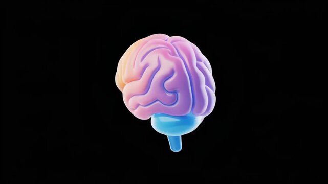 Animated brain rotations in a dark studio with soft lighting showing different angles for medical or science concepts