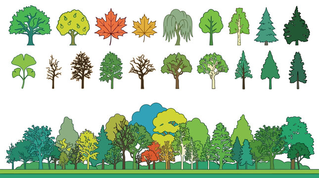 Set di icone vettoriali raffiguranti diverse specie di alberi stilizzati, con una collezione di singole sagome di alberi e una foresta densa in stile grafico su sfondo bianco