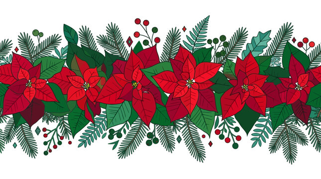 Bordo decorativo natalizio disegnato a mano con fiori di stella di Natale rossi, rami di pino sempreverdi e bacche rosse su sfondo bianco, perfetto per inviti e biglietti di auguri.