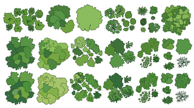 Set di alberi e cespugli visti dall'alto per progetti di architettura, paesaggistica e design urbano, illustrazioni vettoriali stilizzate con diverse forme e tonalit&agrave; di verde.