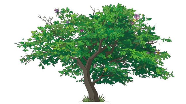 Illustrazione vettoriale di un albero rigoglioso con foglie verdi dettagliate e piccoli fiori viola, isolato su sfondo bianco, ideale per progetti di design grafico e paesaggistica.