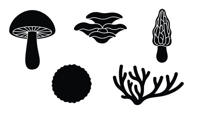 Assorted black silhouettes of different wild mushroom species, including morels and gill mushrooms.
