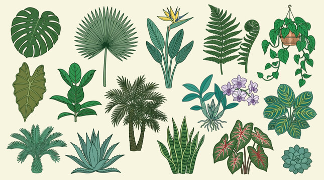 Vasta collezione illustrata di piante tropicali e da interno, con foglie verdi lussureggianti e fiori esotici, perfetta per design botanici.