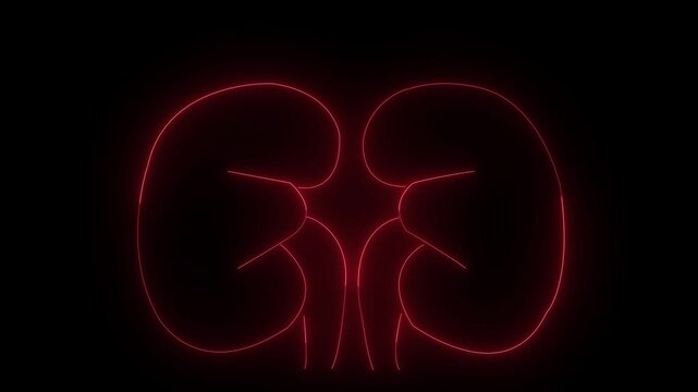 Glowing Red Neon Heart Sign Illustration on Black Background Bright Holiday Celebration Symbol and Light Design Art Concept 2014 New Year Night Glow Energy Lights