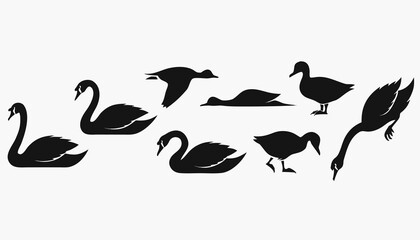 Fototapeta premium birds on a white background