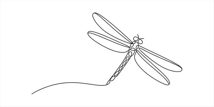 Continuous line drawing of a dragonfly with delicate wings in black ink on a white background