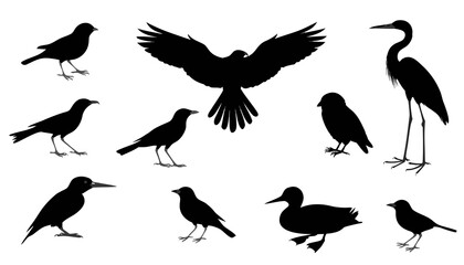 Fototapeta premium set of silhouettes of birds