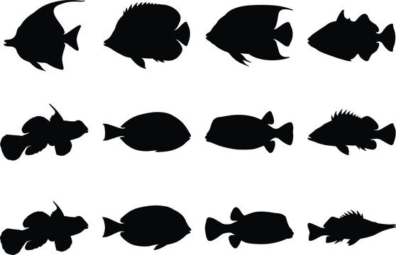 Tropical reef fish vector silhouette set featuring diverse species of marine ocean life isolated on white