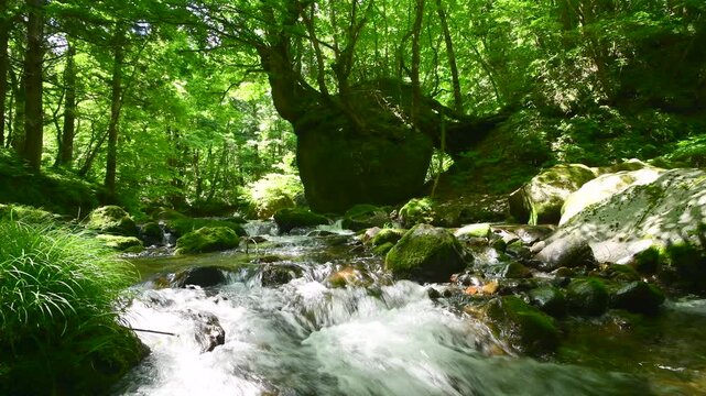 ネコバリ岩と馬場目川