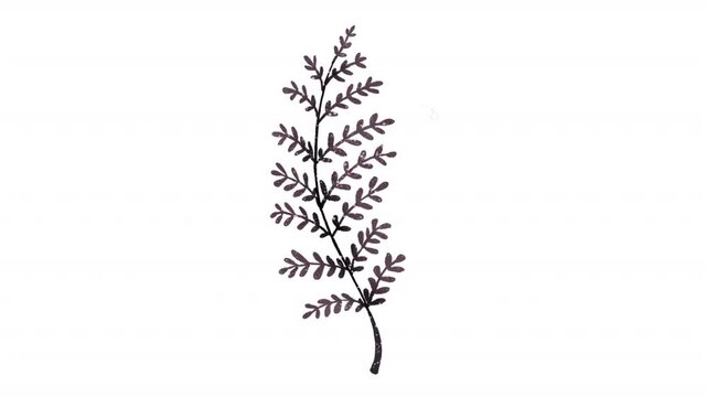 Watercolor floral with detailed dark purple fern frond suitable for wedding invitations, greeting cards, and stationery designs.