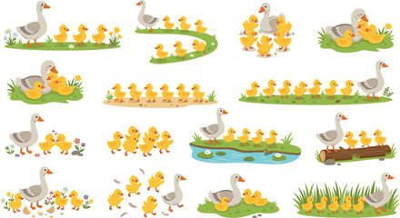 Set of adorable family water bird mascots with mom goose and small yellow baby ducklings in playful spring meadow scenes for kids design © Mehedi