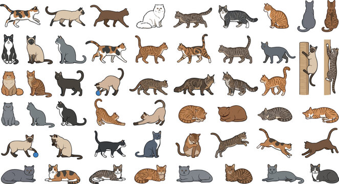 Comprehensive vector set of domestic pet cats showing active behaviors like stretching jumping playing scratching and sleeping for veterinary design