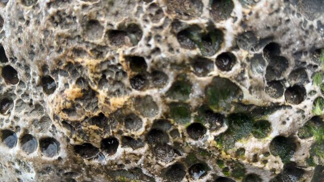 Abstract background of rock surface with movement on the coast with texture UK 4K