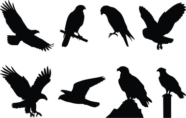 Fototapeta premium Birds of prey silhouettes set featuring soaring eagles flying hawks falcons and owls isolated on white background