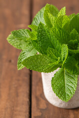Fresh green mint leaves thrive in a small rustic pot set against a textured wooden background creating a bright organic aesthetic for healthy living © anammarques
