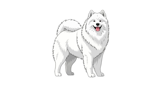 Vector illustration of a fluffy white Samoyed dog standing in a full body view, featuring thick fur, a curled bushy tail, and a happy smiling facial expression with its tongue out.