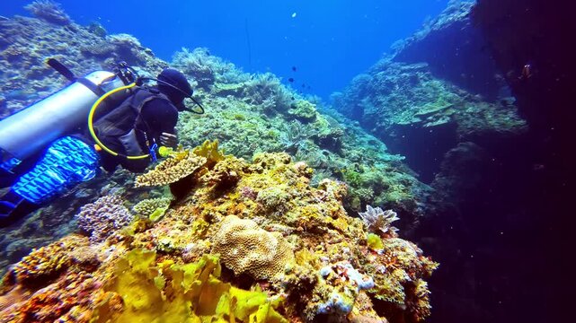 Following a scuba diver through a natural reef corridor between coral formations. Forward movement and underwater perspective create a strong sense of exploration and route discovery.