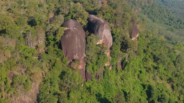 Aerial drone view of Hin Sam Wan, the unique Three Whale Rock formation rising above the dense green jungle canopy of Bueng Kan, Thailand