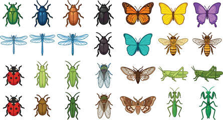 Colorful Cartoon Insect Collection Set Featuring Beetles Butterflies Dragonflies Bees and Grasshoppers Vector © Ratna