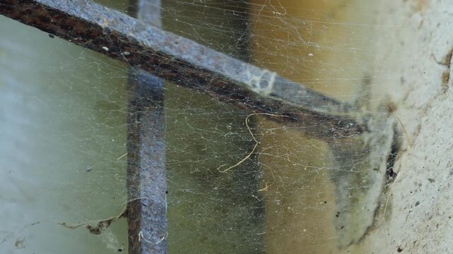 Close-up of dusty spider webs covering an old window with metal bars in an abandoned rural building. Atmospheric scene showing neglect, decay, and the passage of time in a forgotten countryside