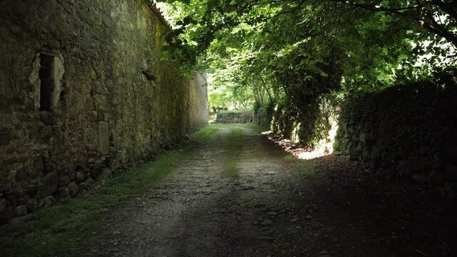 Narrow countryside path passing through a green tree tunnel beside an old stone wall. Peaceful rural landscape and nature travel concept. High quality 4k footage